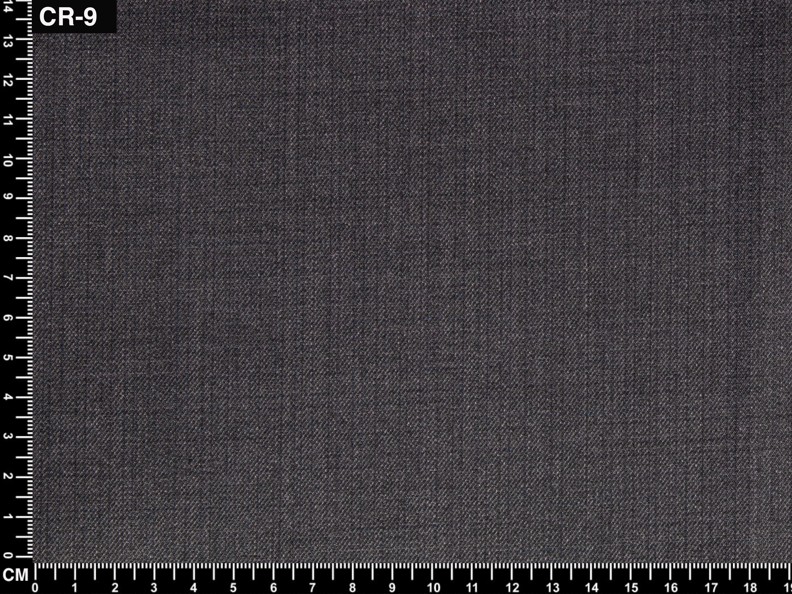 CR9 - Image 3