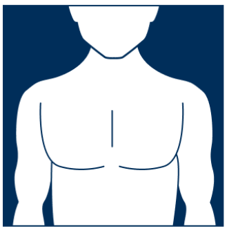 Big Chest