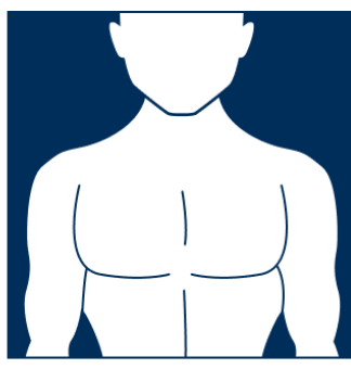Muscular