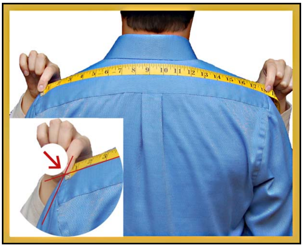 Height measurement guide